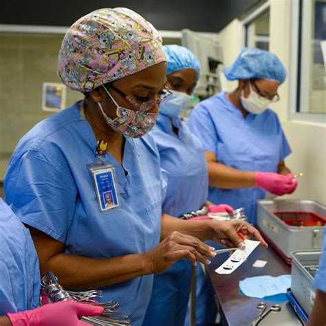 central service technician in west powelton|Role sterile processing technicians perform in healthcare .